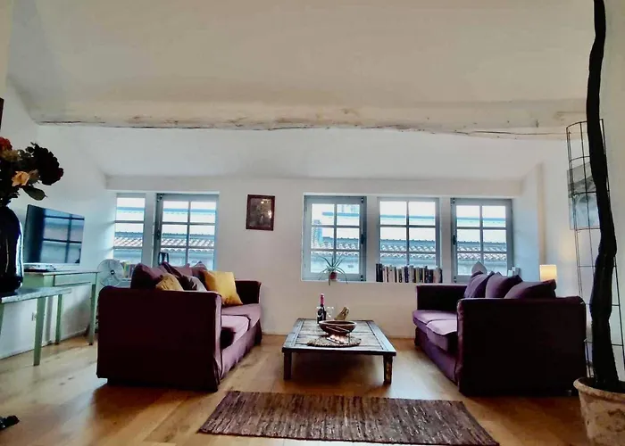 Loft Chic Verdun / Conciergeriedamecarcas Apartmán