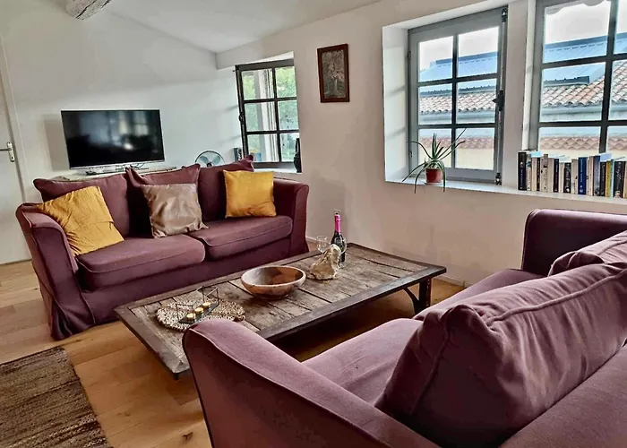 Loft Chic Verdun / Conciergeriedamecarcas Apartmán *