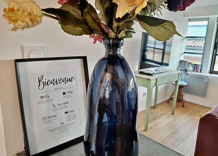 Loft Chic Verdun / Conciergeriedamecarcas Apartmán